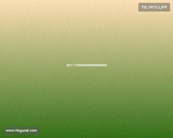 梅西2016年国家队美洲杯决赛失落巴萨西甲夺冠征程回顾