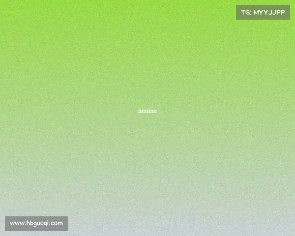 体育赛事报告模板