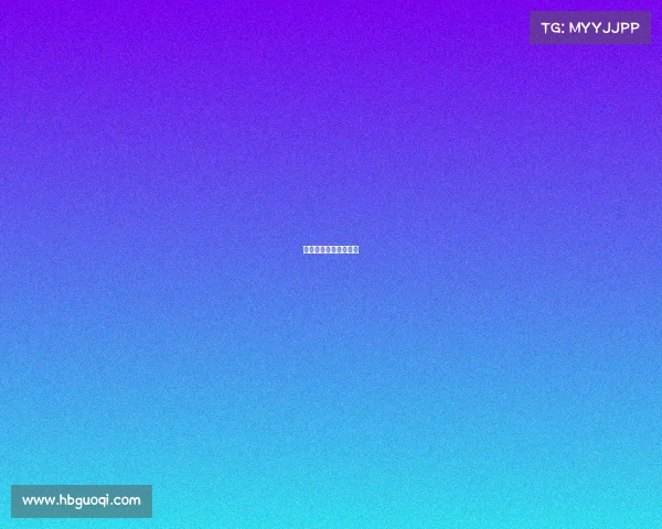 搏击赛事招商方案策划 搏击赛事招商方案策划